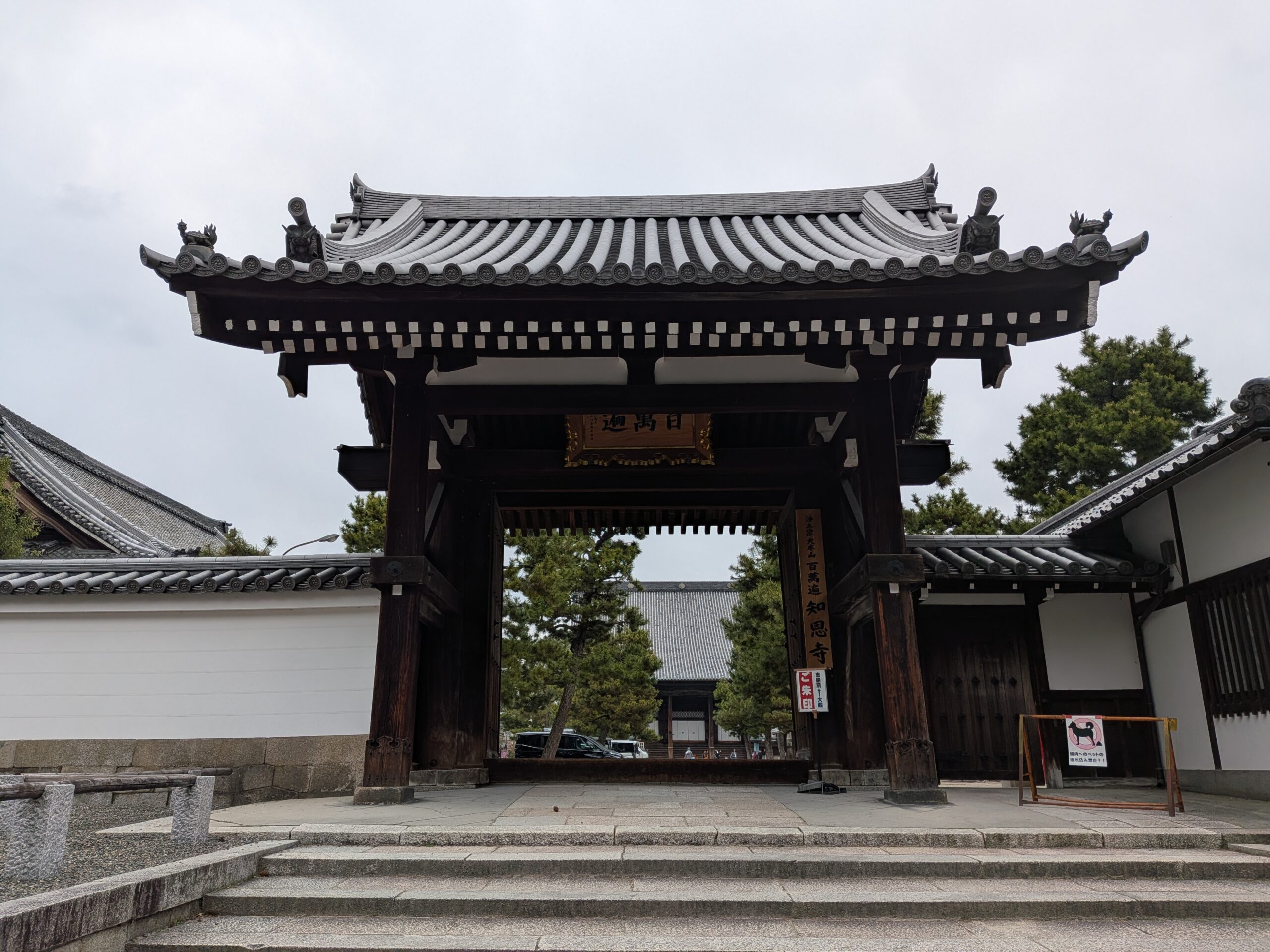 第42回チャリティー園遊会を開催いたします